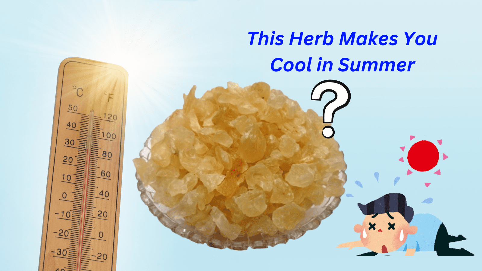 1 Herb to Keep You Cool in Summer, Learn More