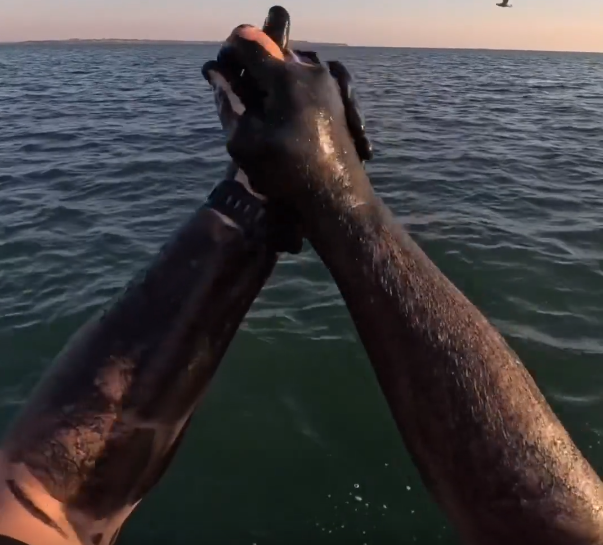 guy rubs squid ink on both hands